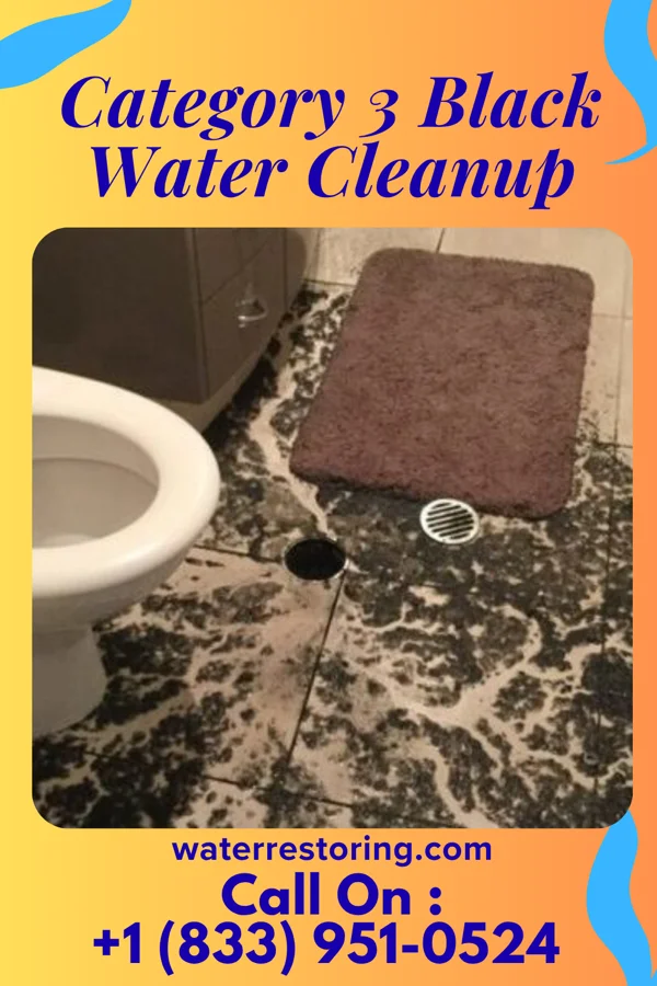 Category 3 Black Water Cleanup in Pensacola, FL