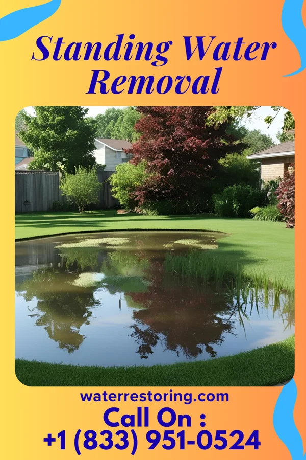 Standing Water Removal in Pensacola, FL